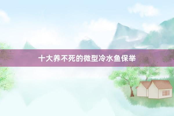 十大养不死的微型冷水鱼保举